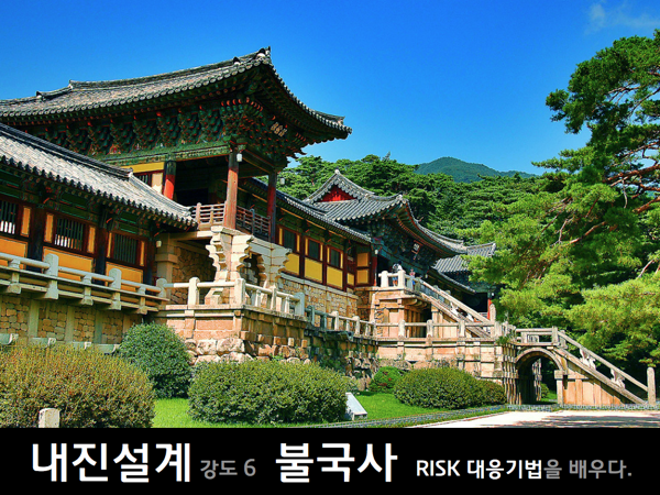 [한국형 프로젝트 리더십] 신라시대 불국사에서 배우는 RISK 관리