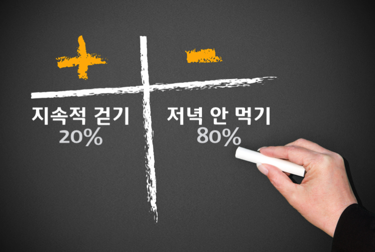 린다이어트 Lean Diet  3개월 9 kg 감량 후기