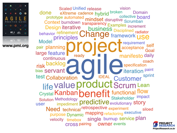 PMI-WordCloud-AGILE1st.png PMI WordCloud AGILE1st